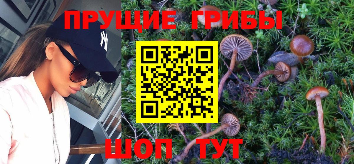 ГАШ  Майкоп  Марихуана  Вход с VPN  MDMA  Метадон  Меф МЯУ МЯУ   ГАШ 