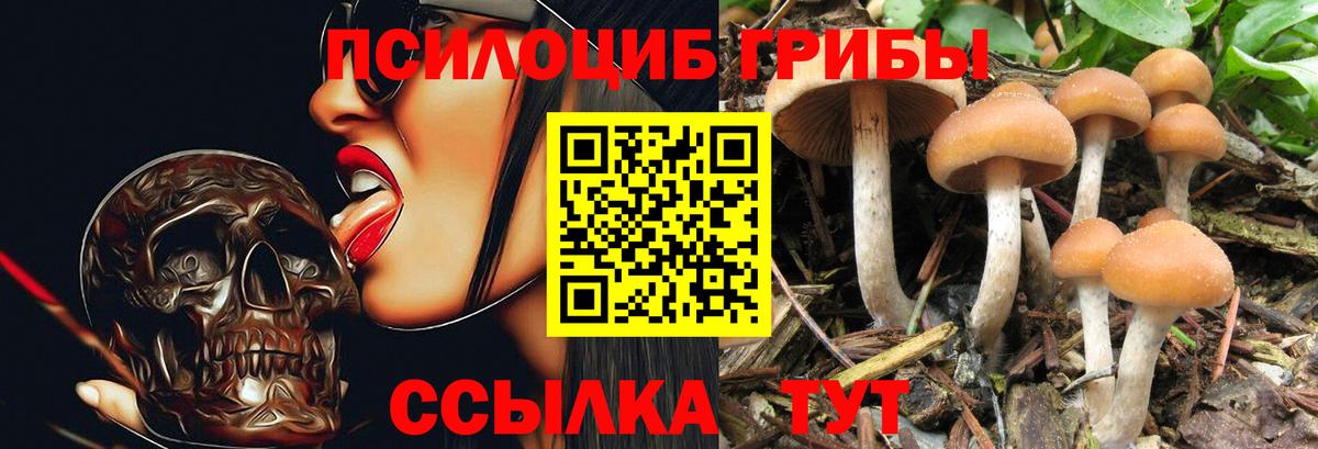 Псилоцибиновые грибы Magic Shrooms  Вход с VPN  Галлюциногенные грибы GOLDEN TEACHER  закладка  Майкоп 