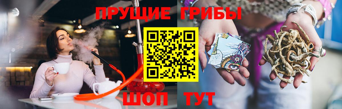 Галлюциногенные грибы мухоморы Майкоп